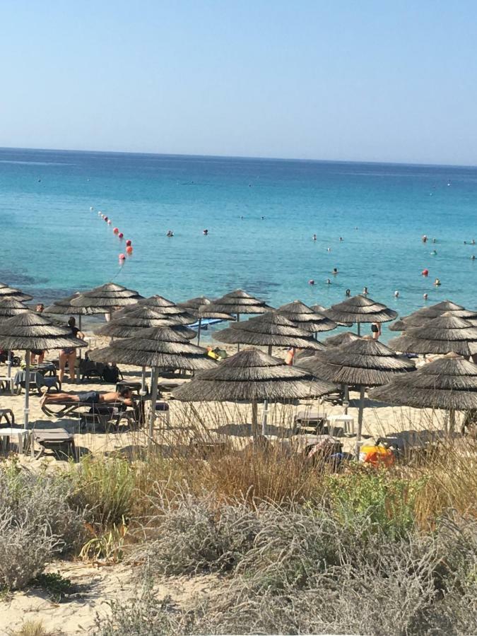איה נאפה Narcissos 'Nissi Beach' Apartment C12 מראה חיצוני תמונה