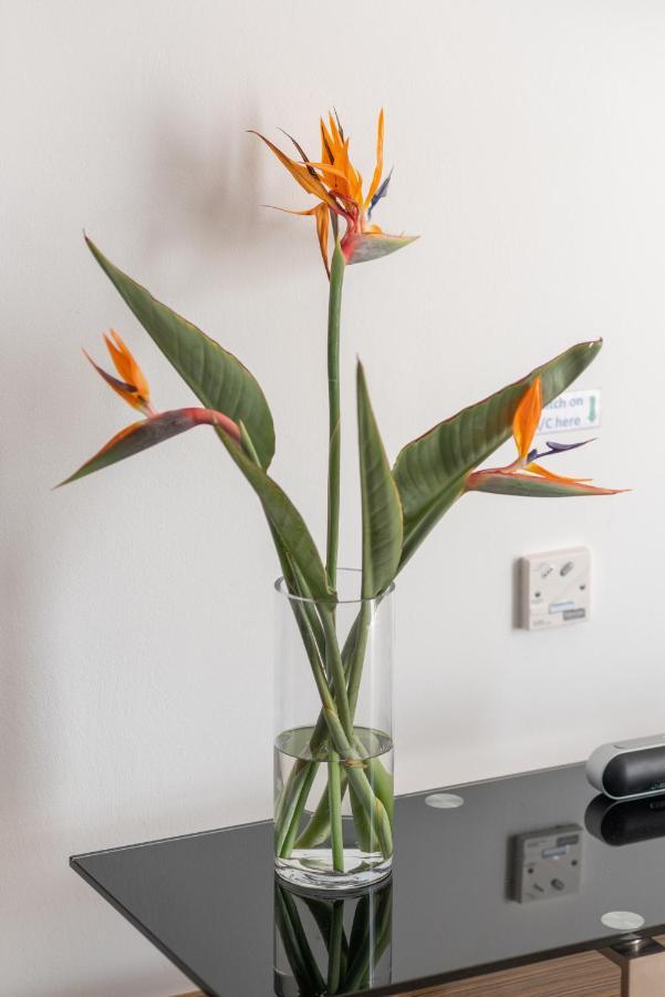 איה נאפה Narcissos 'Nissi Beach' Apartment C12 מראה חיצוני תמונה